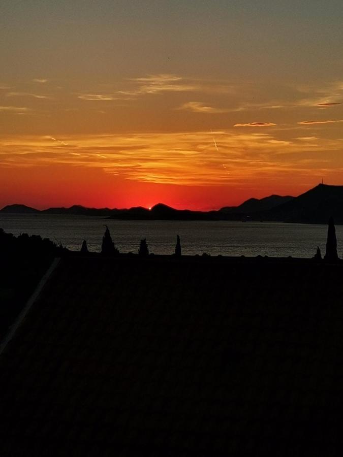 Sunset View New Apartment Cavtat Eksteriør billede